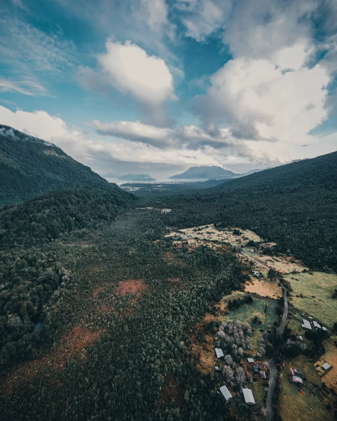 Valle verde con bosque visto desde el aire (foto referencial)